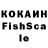 Галлюциногенные грибы Psilocybine cubensis Orland Kumarin