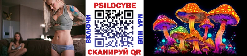 shop как зайти  что такое наркотик  Горбатов  Псилоцибиновые грибы Psilocybine cubensis 